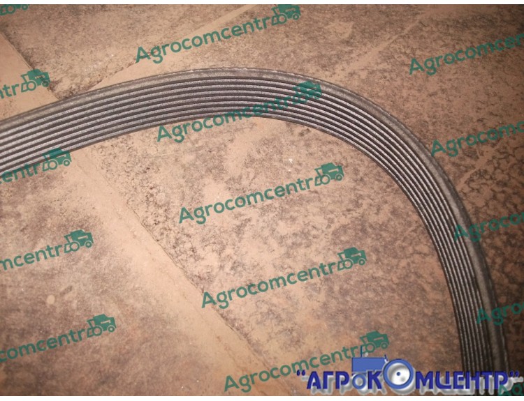 Ремень привода  генератора КЛААС, 7700066723 /R175826